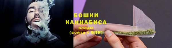 дмт Богородицк
