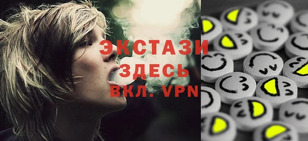дмт Богородицк